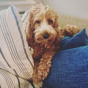 Meet your Posher, Rebekah